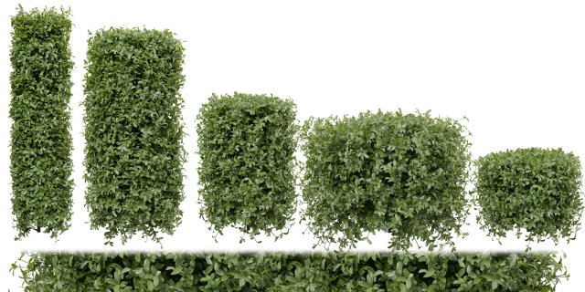 Collection plant vol 552 - blender model 3D 모델 .c4d .max .obj .3ds .fbx .stl .blend 