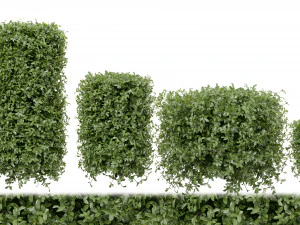 कलेक्शन प्लांट वॉल्यूम 552 - ब्लेंडर मॉडल 3D मॉडल