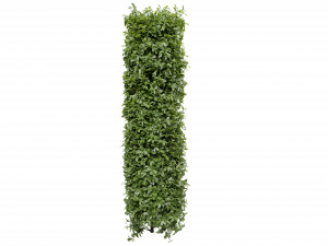 Collection plant vol 552 - blender model 3D 모델