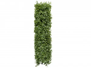Collection plant vol 552 - blender model 3D Model
