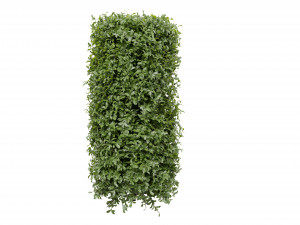 Collection plant vol 552 - blender model 3D 모델