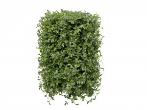Collection plant vol 552 - blender model 3D 모델