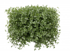 Collection plant vol 552 - blender model 3D 모델