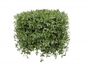 Collection plant vol 552 - blender model 3D Model