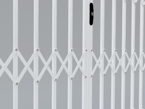 trellis security double gate Model 3D
