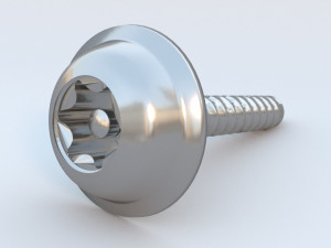 security screw 3D Model