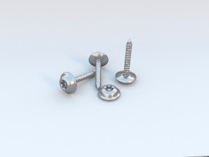 security screw Model 3D
