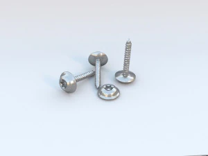 security screw 3D Model