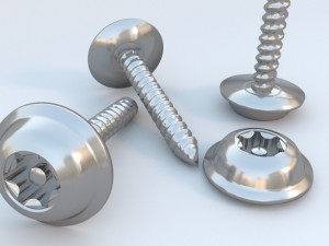 security screw Model 3D
