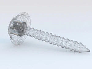 security screw 3D Model