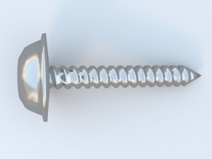 security screw Model 3D