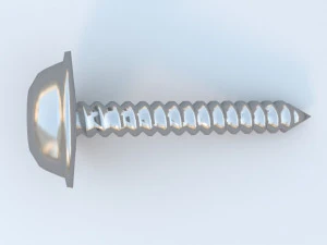 security screw 3D Model