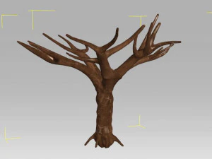 6 old tree 3D Model