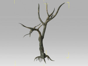 6 old tree 3D Модель
