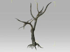 6 old tree 3D Model