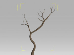 6 old tree 3D Модель