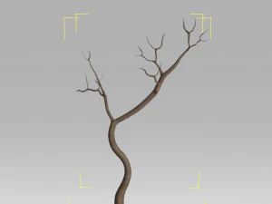 6 old tree 3D Model