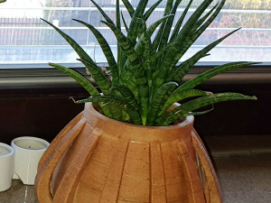 flowerpot decorative 3D 프린트 모델