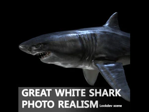 gran tibur&oacute;n blanco Modelo 3D