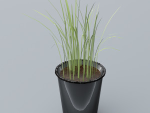 plant low poly free low-poly 3D Model