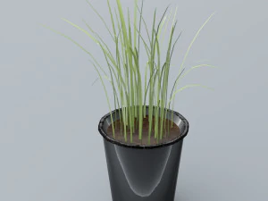 plant low poly free low-poly Model 3D