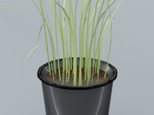 plant low poly free low-poly 3D Модель