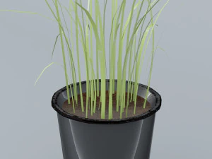 plant low poly free low-poly 3D Model