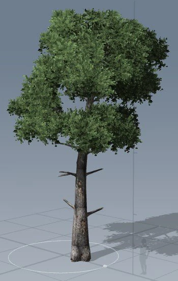 tress pack 3D Model .c4d .max .obj .3ds .fbx .stl .blend 