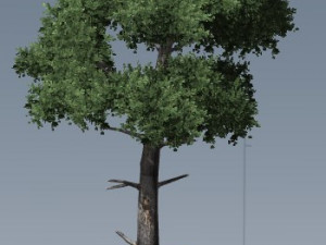 tress pack Modelo 3D