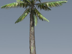 tress pack 3D Модель