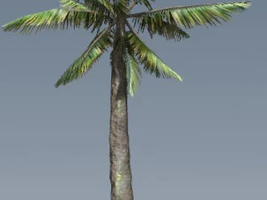 tress pack 3D Model