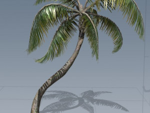 tress pack 3D Модель