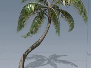 tress pack 3D Model