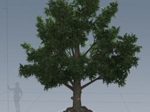 tress pack 3D Модель