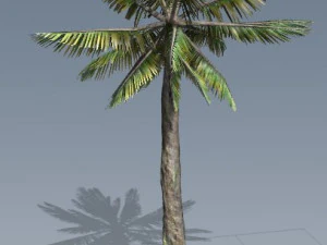 tress pack 3D Model