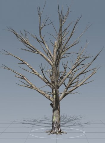 died tree 3D Model .c4d .max .obj .3ds .fbx .stl .blend 
