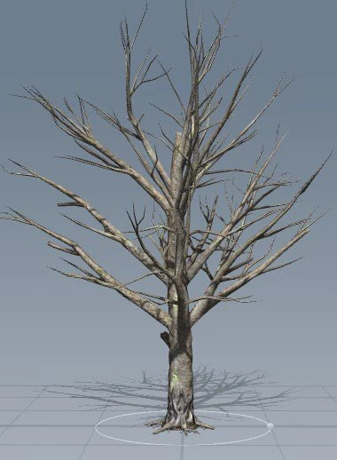 died tree 3D Model .c4d .max .obj .3ds .fbx .stl .blend