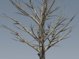 died tree Modelo 3D
