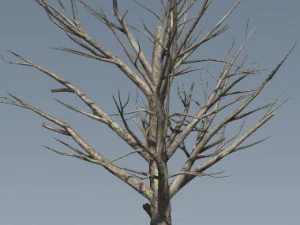 죽은 나무 3D 모델