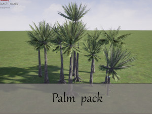 palm pack Modelo 3D