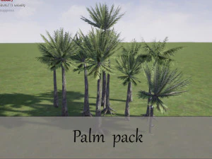 팜 팩 3D 모델