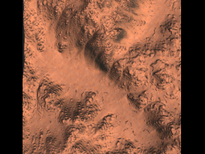 landscape set 3D Model