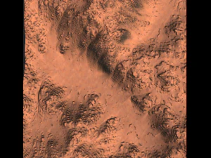 landscape set 3D Model