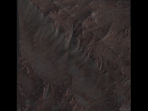 landscape set 3D Model