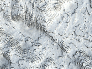 landscape set 3D Model