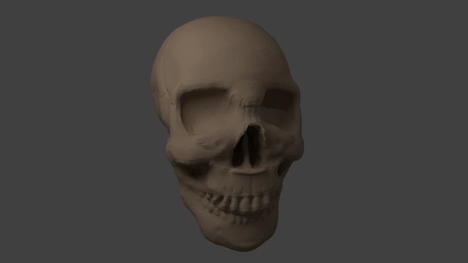 cranio Modello 3D .c4d .max .obj .3ds .fbx .stl .blend 