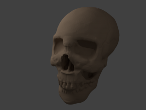 skull 3D मॉडल