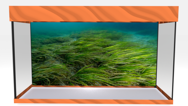 aquarium 3D Model .c4d .max .obj .3ds .fbx .stl .blend