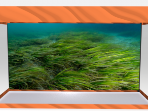 aquarium Modèle 3D