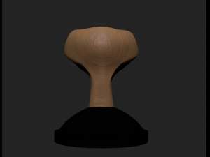 ET 3D-Modell